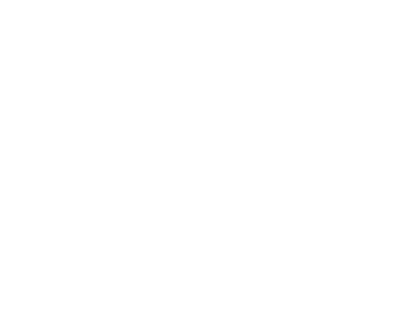 Vertical_V_White | Executive Inner Work | Transformational Leadership