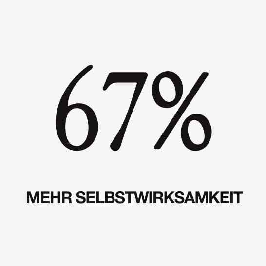 VERTICAL Development | Executive Inner Work | 67 %